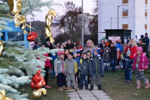 20161128avarosresz-karacsonyfajanal