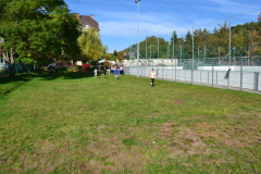 DSC_0834